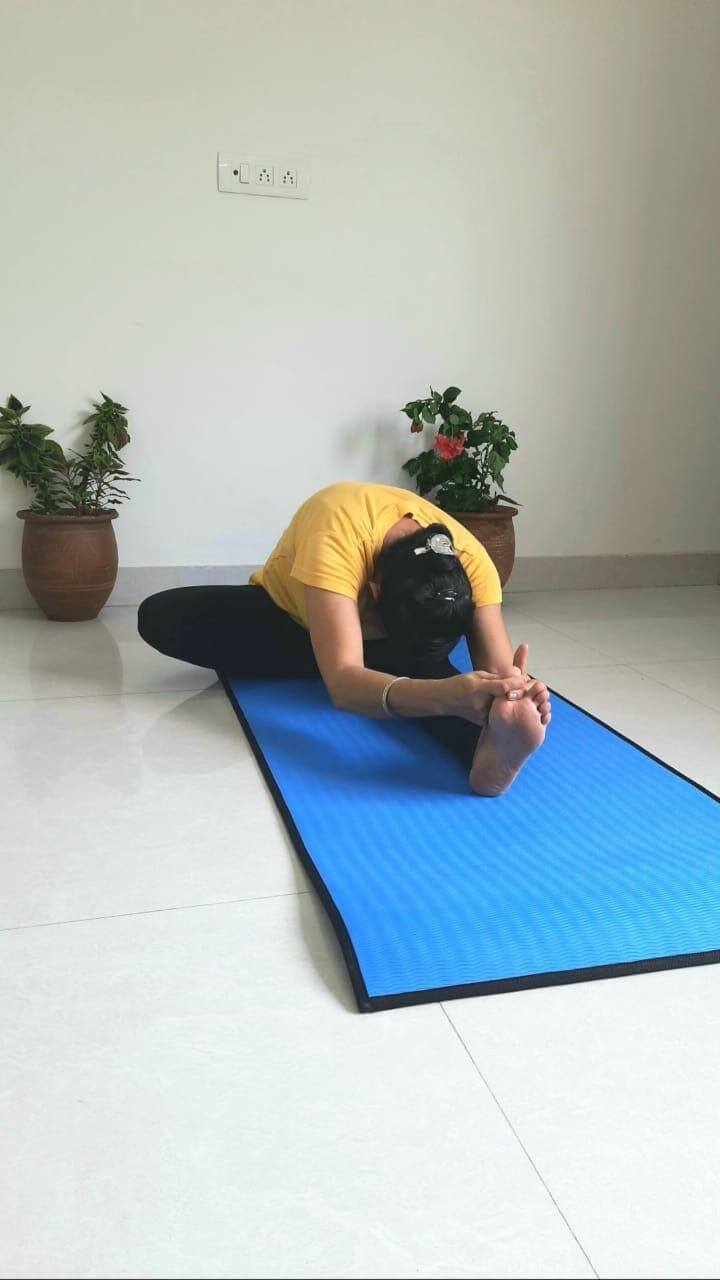 janushirasana benefits hindi