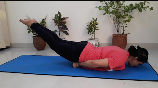 शलभासन क्या है