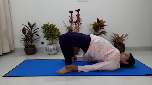 Setubandhasana benefits Hindi