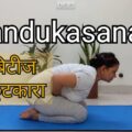 मंडूकासन के फायदे तथा विधि (Mandukasana Benefits and Steps in Hindi) 10 Mandukasana benefits