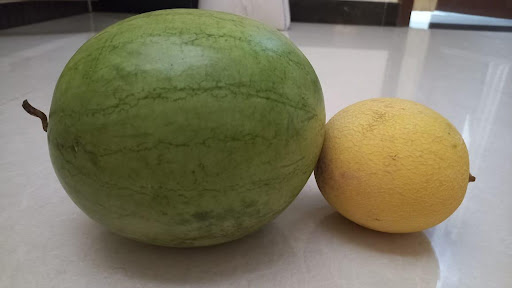 गर्मी से बचाव के उपाय (Garmi se bachav ke upay): How to protect from heat in Summer in Hindi 3 तरबूज, खरबूजा