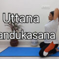 Uttana Mandukasana benefits in Hindi