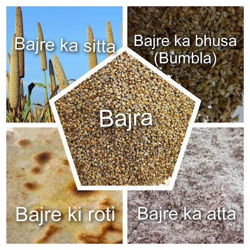 बाजरा के फायदे (Bajra/Pearl Millet Ke Fayde in Hindi)