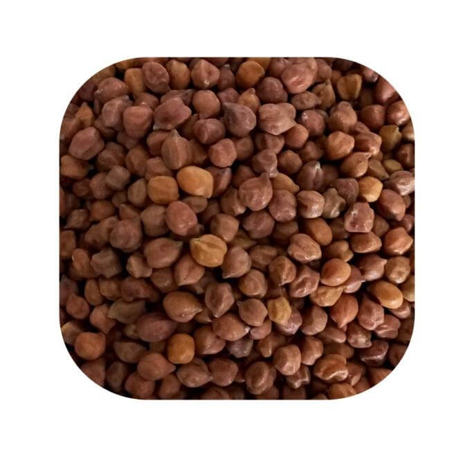 चना खाने के फायदे (Chana Khane Ke Fayde in Hindi) 3 Kala chana