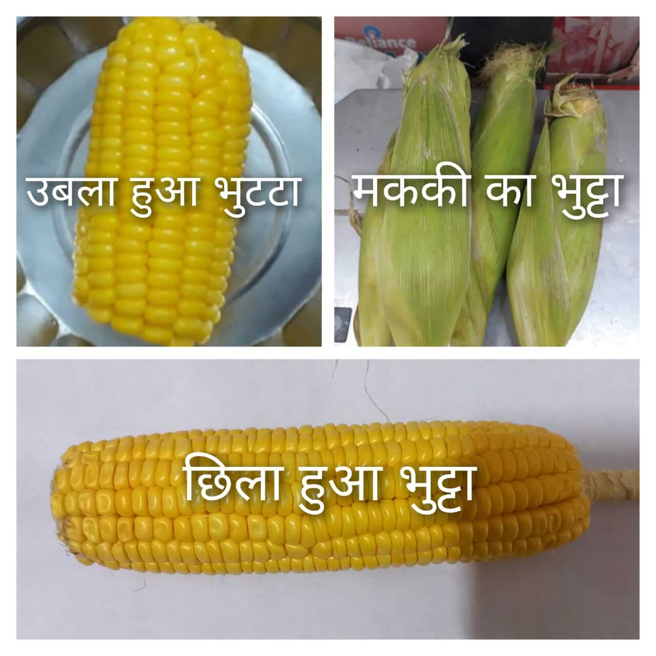 मक्की उपयोग और फायदे (Makka/Corn Benefits in Hindi)