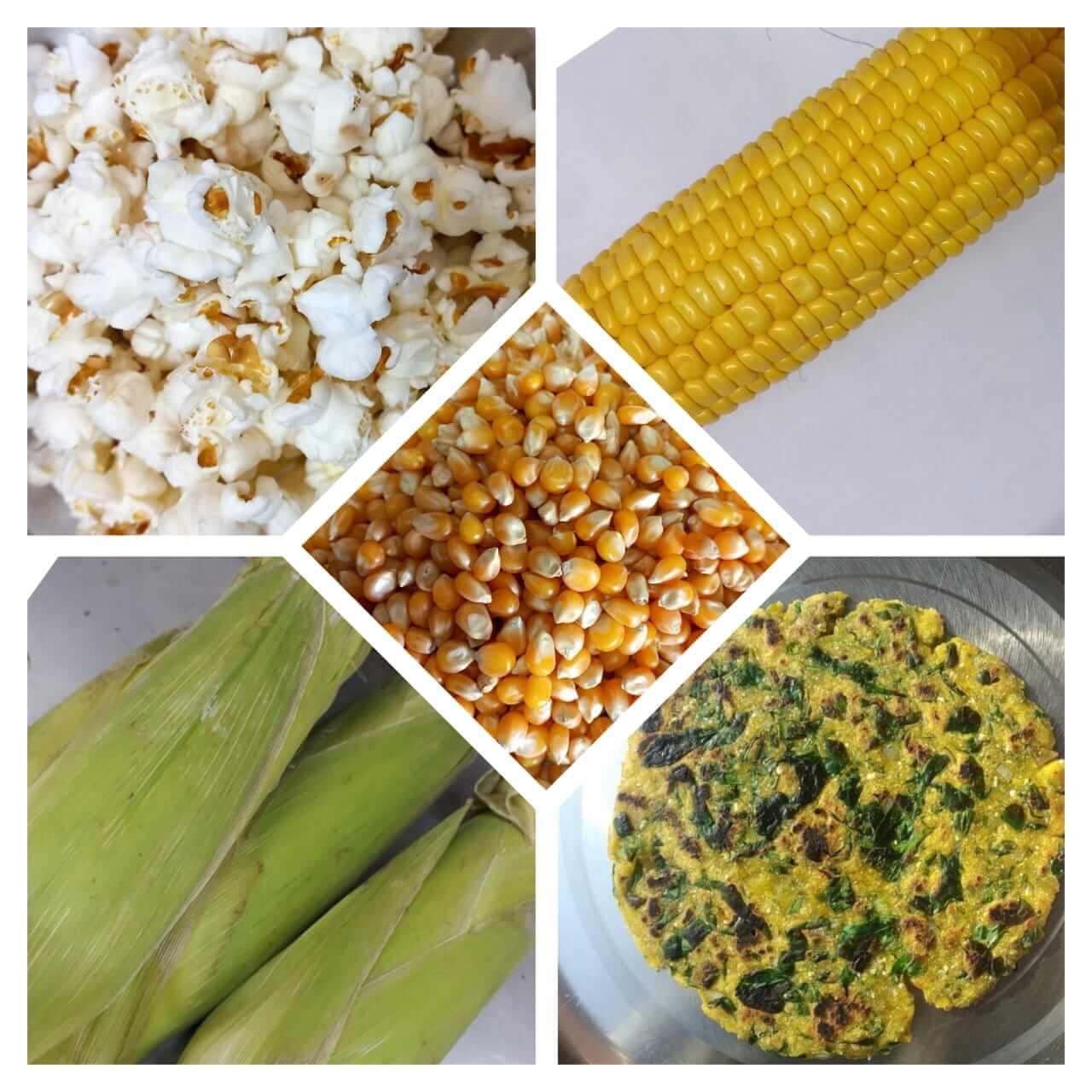 makka-corn-benefits-in-hindi